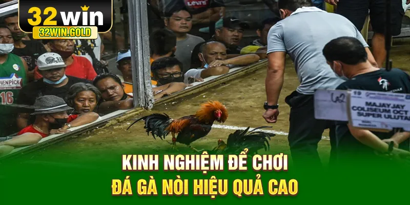 Kinh nghiệm để chơi đ&aacute; g&agrave; n&ograve;i hiệu quả cao